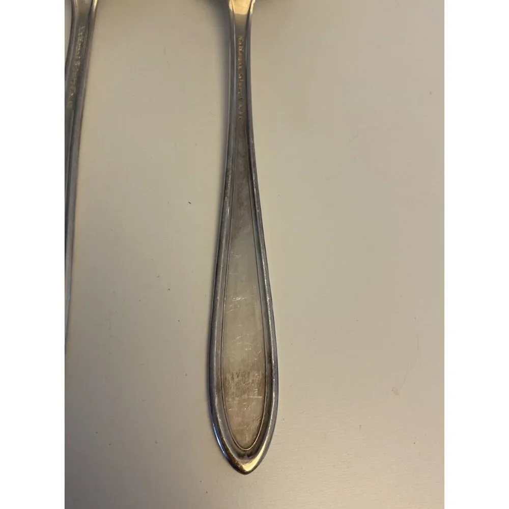 International Silver Co Silverplate ROSE AND LEAF Serving Spoons 8